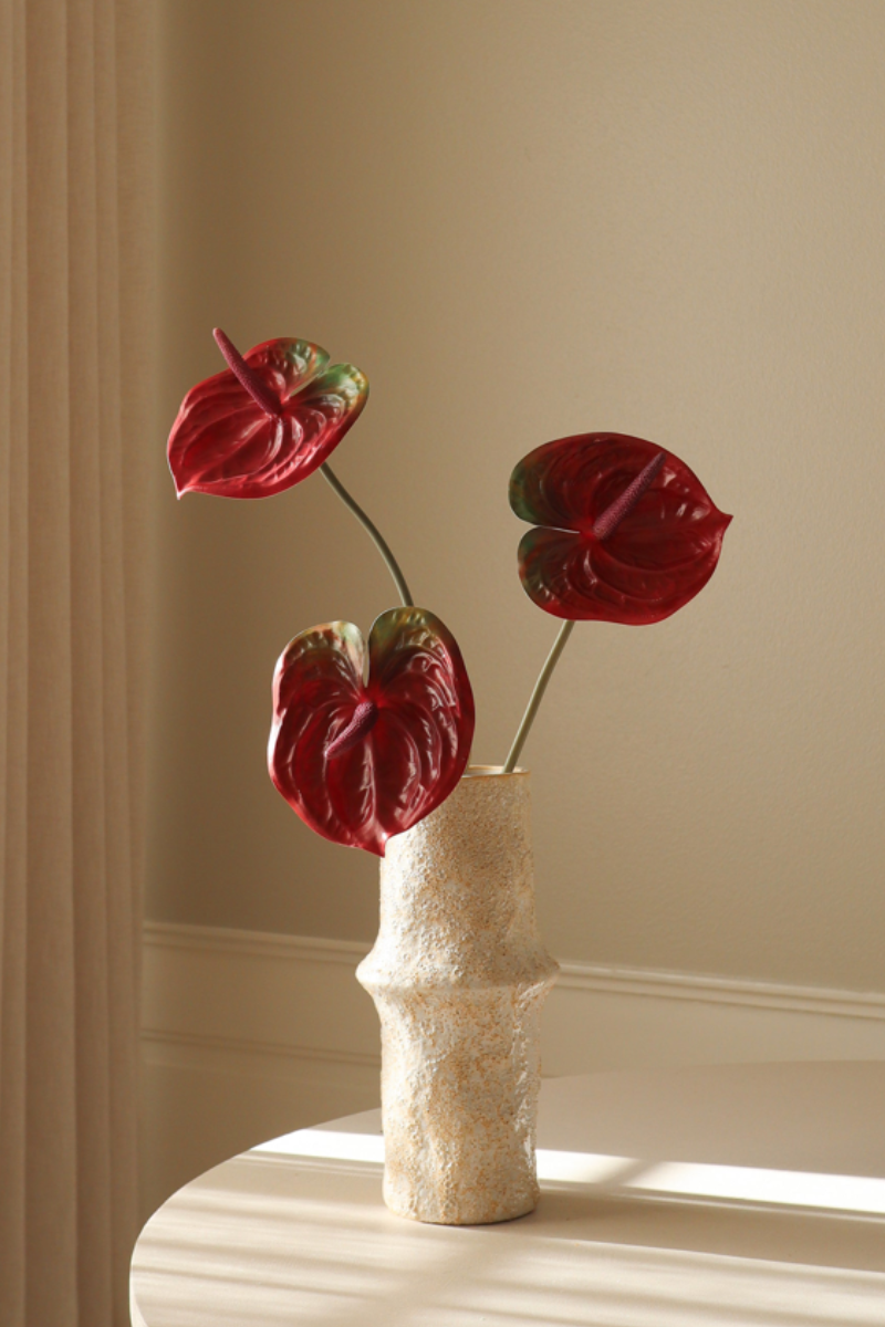Red Anthurium Flower