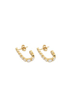 Load image into Gallery viewer, Earrings - 12061
