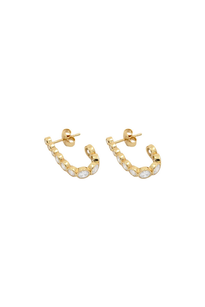 Earrings - 12061