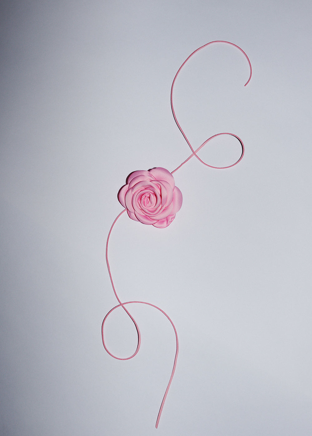 LA FLEUR - Pink Camellia