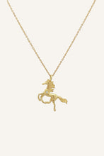 Load image into Gallery viewer, Horse Necklace - Brilliant
