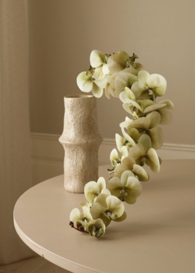 Orchid Flower