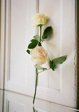 Load image into Gallery viewer, LA FLEUR - off white Camellia
