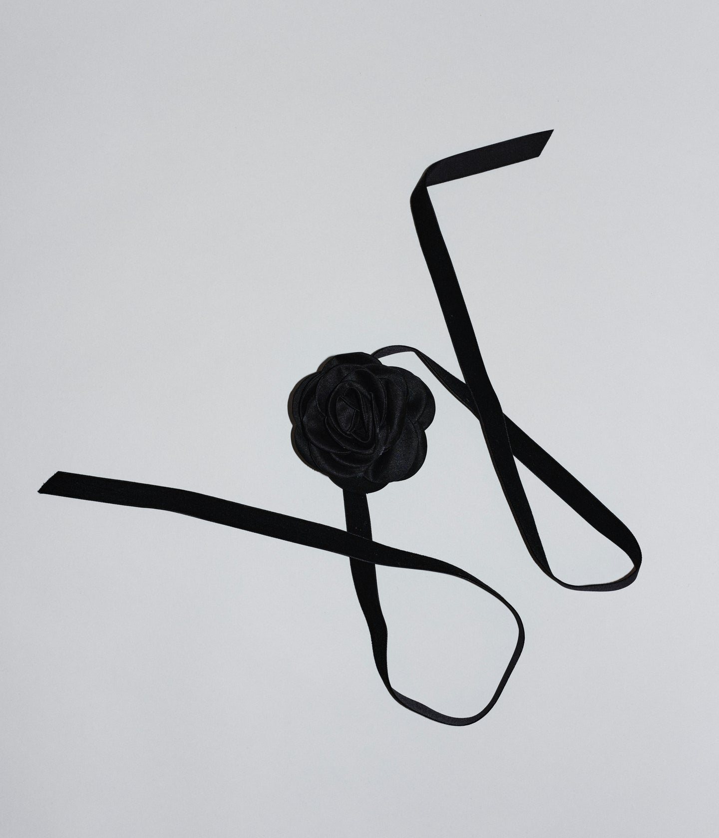 LA FLEUR - Black Camellia